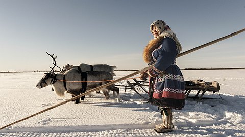 Арктика мой дом